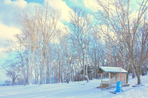 在森林附近的雪场 · 免费素材图片
