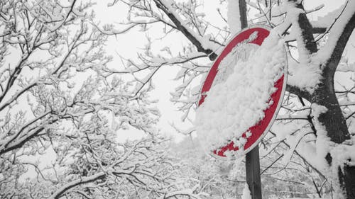 积雪覆盖的道路标志 · 免费素材图片