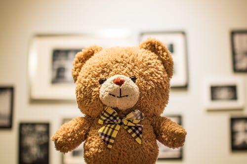 棕熊毛绒玩具 · 免费素材图片