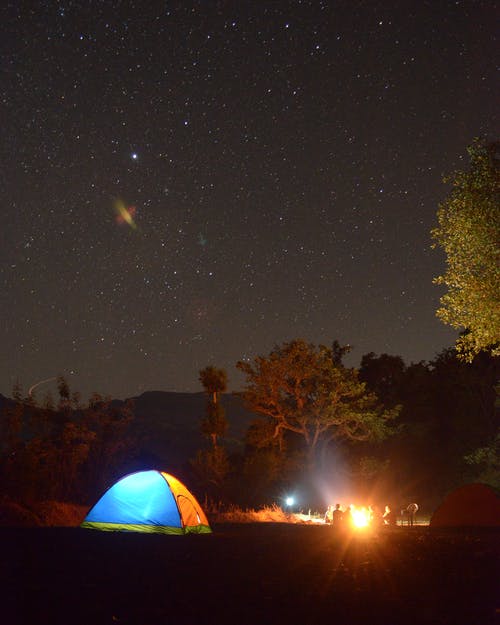 夜间被植物包围的蓝色和黄色灯光圆顶帐篷的照片 · 免费素材图片