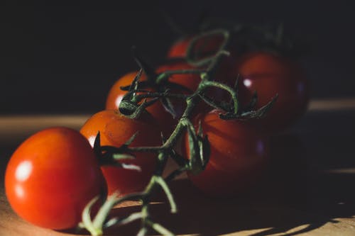成熟的西红柿 · 免费素材图片