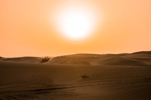 黄色夕阳下的沙漠 · 免费素材图片