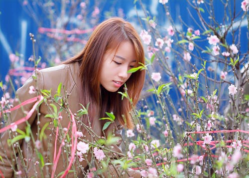 女人闻到粉红色的花瓣花 · 免费素材图片