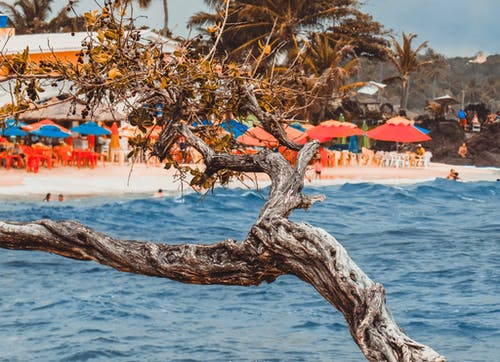 沙滩照片 · 免费素材图片