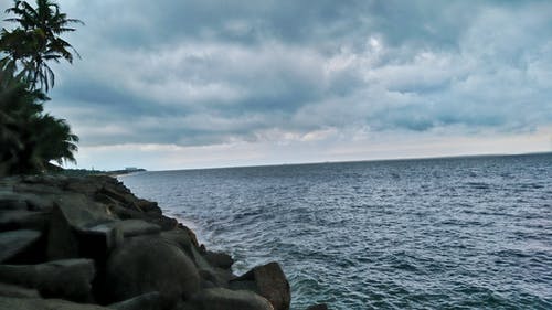 水体附近的树木 · 免费素材图片