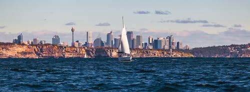 在城市附近的水体上的白色帆船 · 免费素材图片