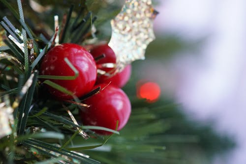 三轮红色水果 · 免费素材图片