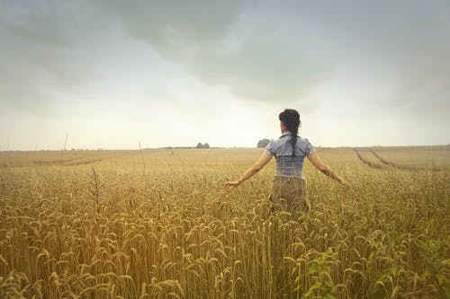 多云的日子站在稻田上的女人 · 免费素材图片