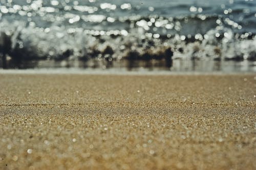 棕沙摄影 · 免费素材图片