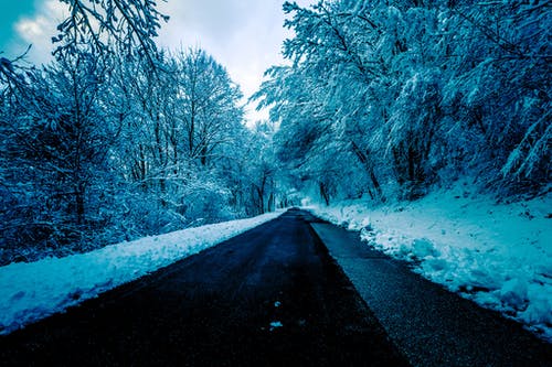 树木与雪包围的黑色混凝土路 · 免费素材图片