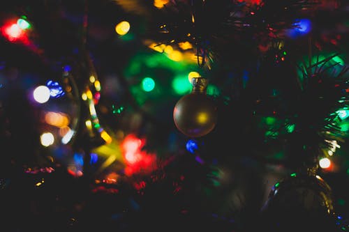 圣诞摆设挂在树上的特写摄影 · 免费素材图片
