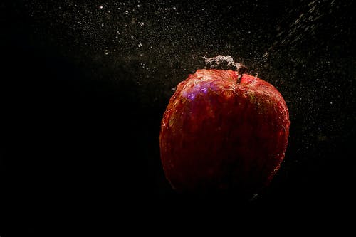 落红苹果的定时摄影 · 免费素材图片