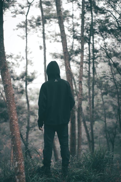 穿黑色连帽衫，站在森林中间的黑裤子的男人 · 免费素材图片