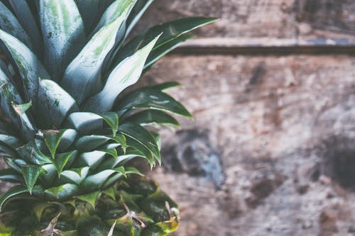 菠萝果 · 免费素材图片