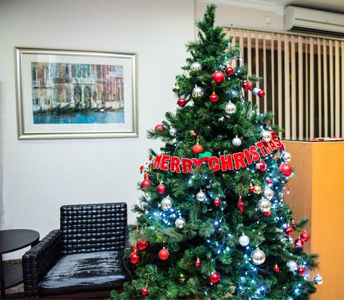 绿色预点燃的圣诞树有微词 · 免费素材图片