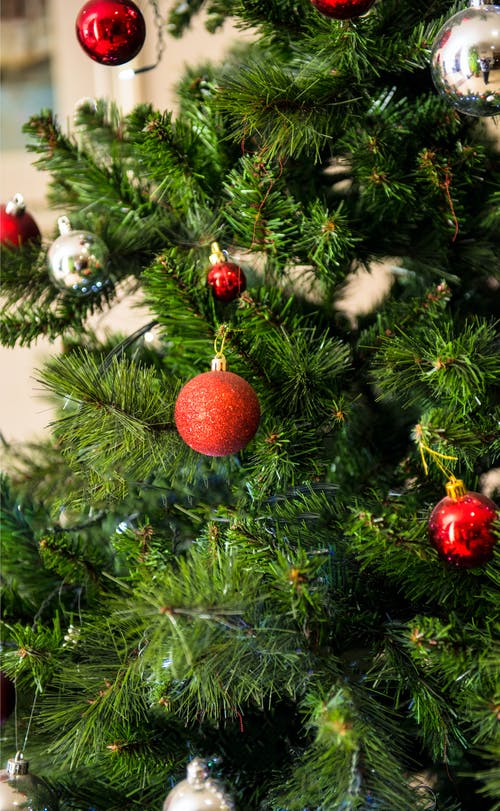 绿色和红色的圣诞树 · 免费素材图片