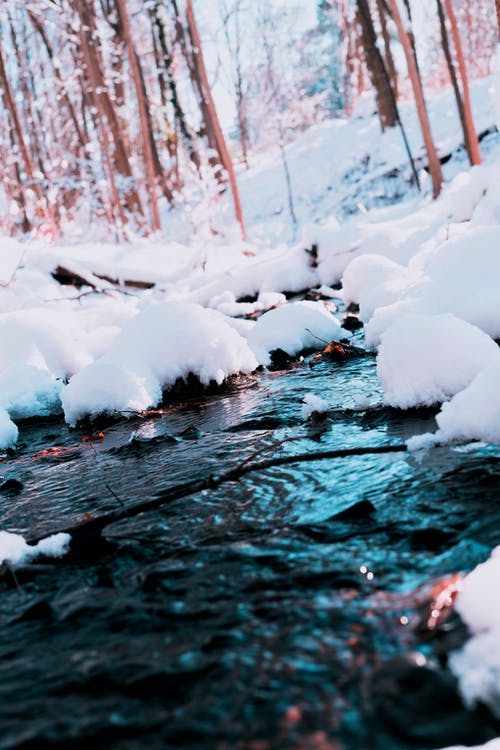 白雪摄影 · 免费素材图片