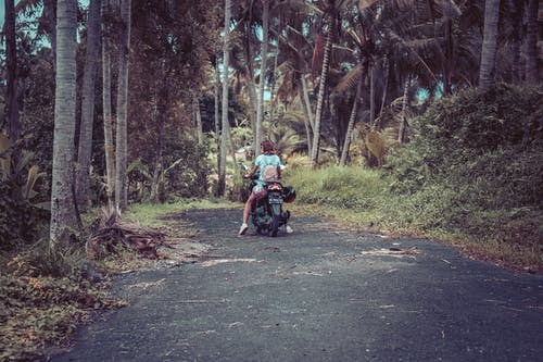 女人骑踏板车附近椰子树 · 免费素材图片
