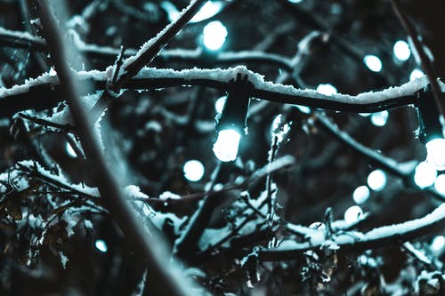 被雪覆盖的弦灯 · 免费素材图片
