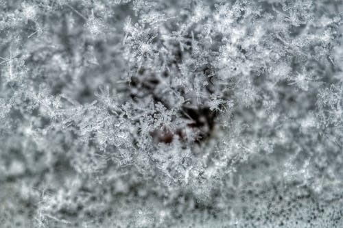 大雪覆盖的地面 · 免费素材图片