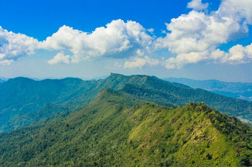 有关不清楚, 场景, 夏天的免费素材图片