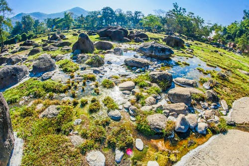 有关场景, 天, 天性的免费素材图片