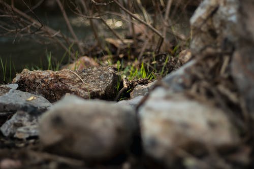 布朗岩 · 免费素材图片