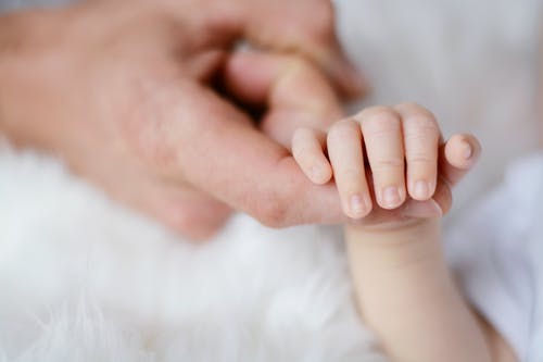 婴儿抱着它的父母的手指 · 免费素材图片
