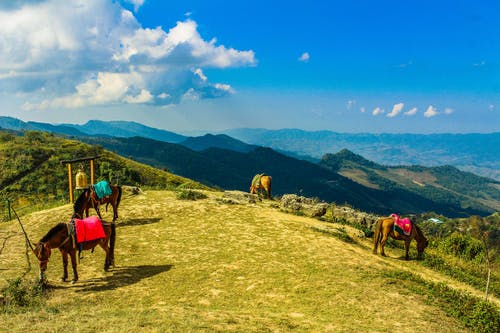 有关doi pha tang, 健行, 冒险的免费素材图片