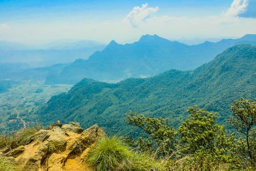 有关公园, 冒险, 场景的免费素材图片