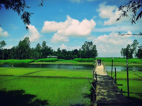 农场风景 · 免费素材图片