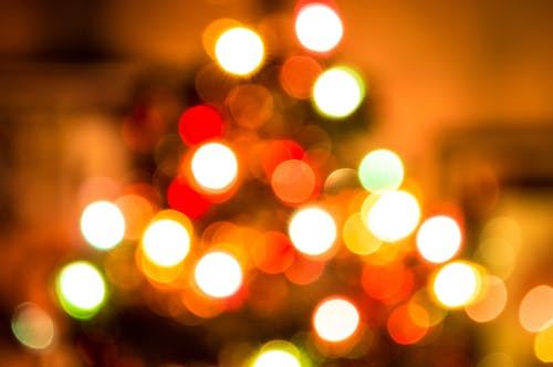 散景摄影中的聚焦照片不清晰 · 免费素材图片