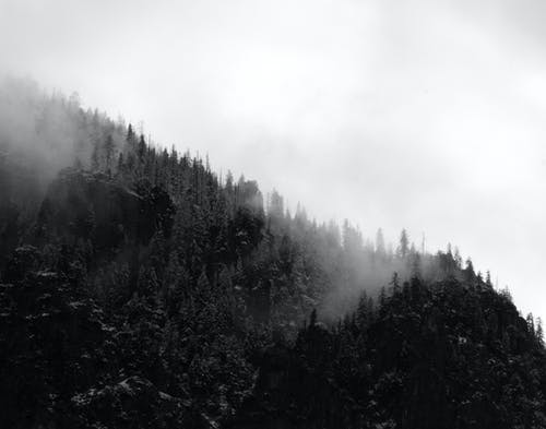 有雾的黑白山的航拍照片 · 免费素材图片