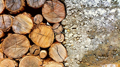 棕色原木和白色鹅卵石的照片 · 免费素材图片