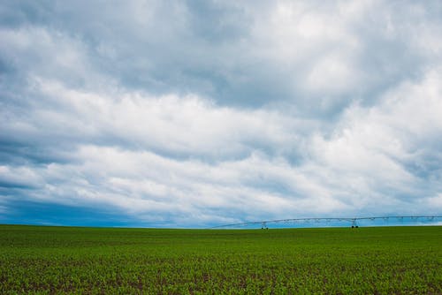 积雨云下的绿草田 · 免费素材图片