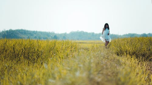 穿白色无袖礼服站在绿草地上的女人的景深摄影 · 免费素材图片
