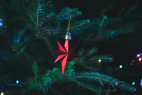 红色圣诞树装饰的照片 · 免费素材图片