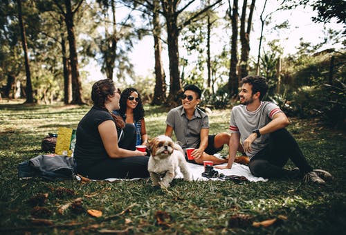 一群人坐在草地上的白色垫子 · 免费素材图片
