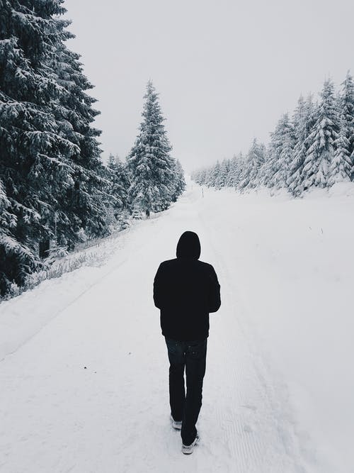 在松树附近的积雪覆盖的路上行走时穿黑色连帽衫的人 · 免费素材图片