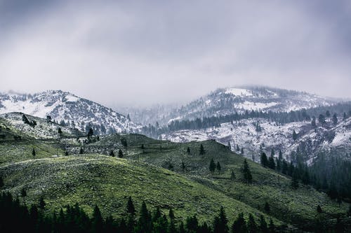 被雪覆盖的绿山 · 免费素材图片