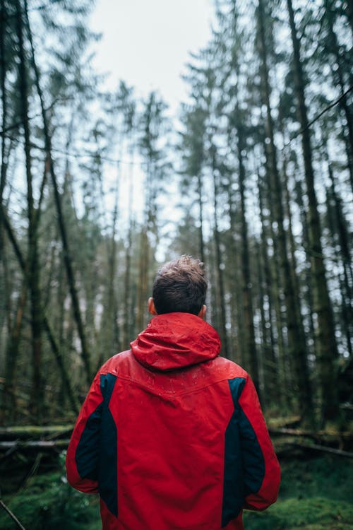 穿黑色和红色外套站在森林里的人的摄影 · 免费素材图片