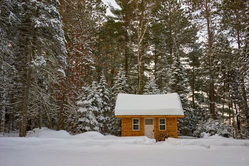棕色木房子 · 免费素材图片