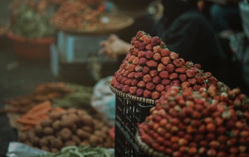 草莓焦点照片 · 免费素材图片