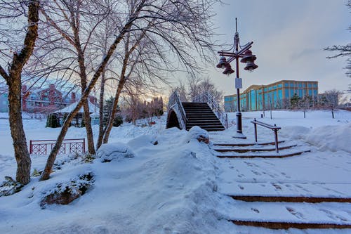 桥梁近灯柱与雪和远处的建筑物 · 免费素材图片