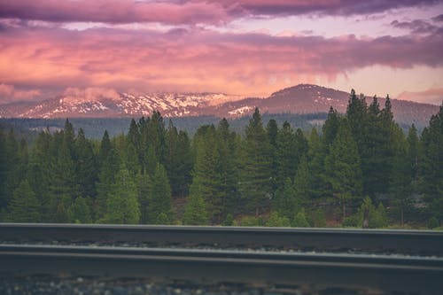 绿松树山附近 · 免费素材图片