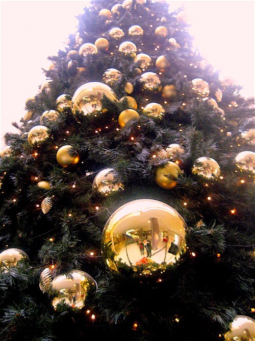低角度拍摄的圣诞树和金色摆设 · 免费素材图片