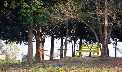 在公园的长凳和吊床的照片 · 免费素材图片