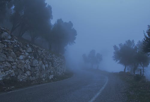 树木和覆盖着雾的悬崖之间的道路 · 免费素材图片