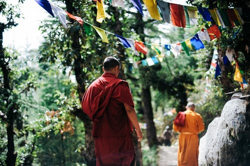两位僧侣在树间行走 · 免费素材图片