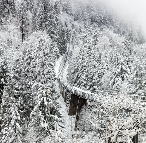 冬季树木之间的铁路火车航拍 · 免费素材图片